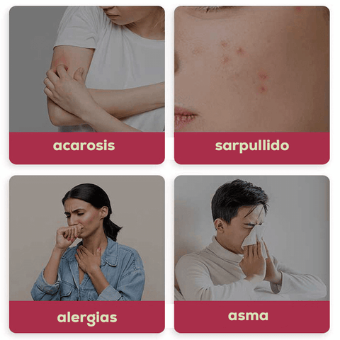 Image of Aspiradora Inalámbrica Anti Ácaros UV