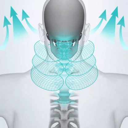 Image of NeckSupport