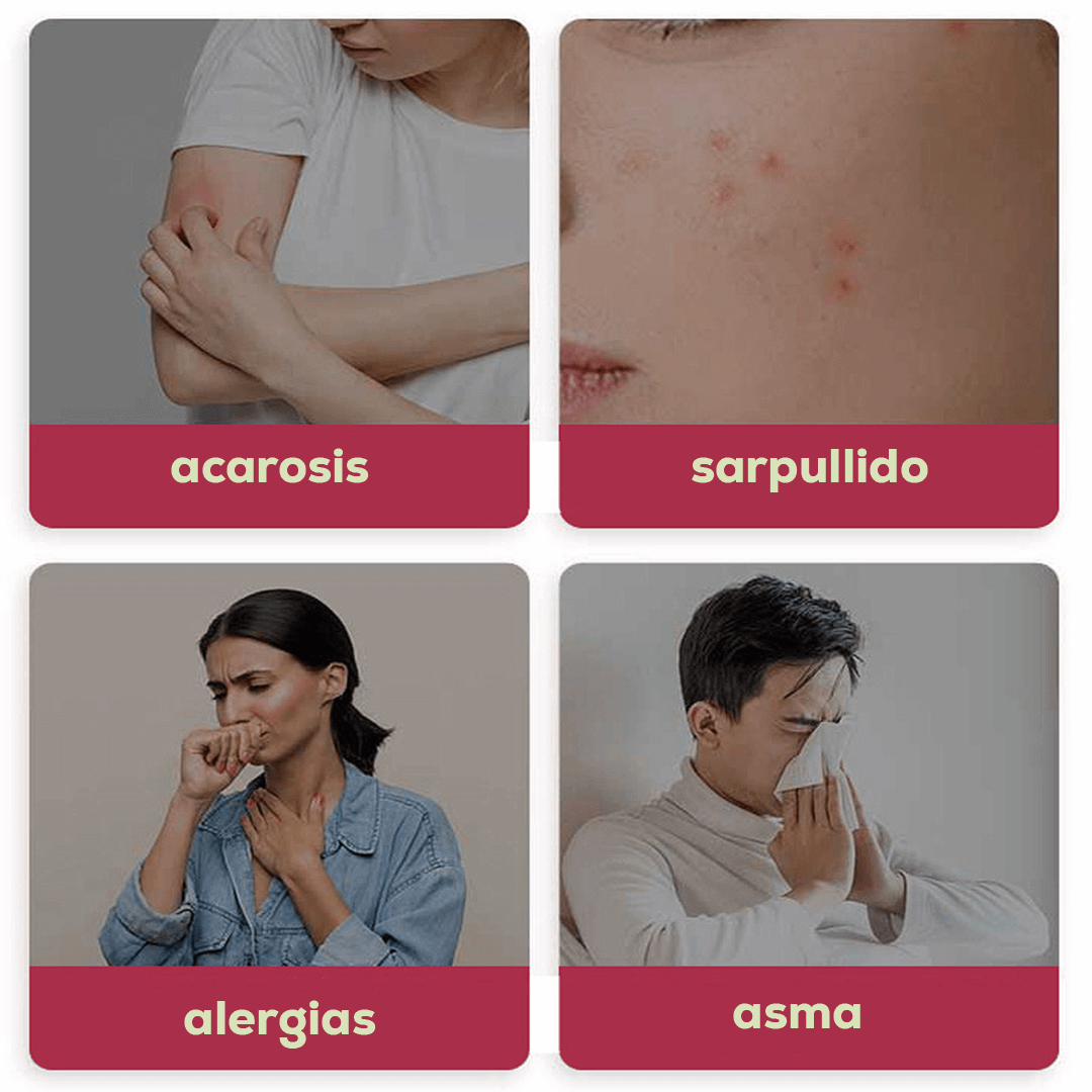 Aspiradora Inalámbrica Anti Ácaros UV