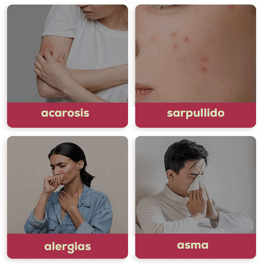 Aspiradora Inalámbrica Anti Ácaros UV